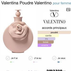 ISO IN SEARCH OF Valentino Valentina Poudre